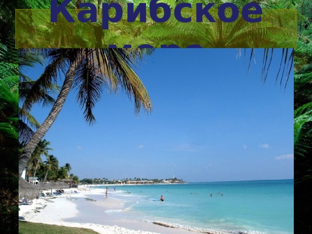 Карибское море