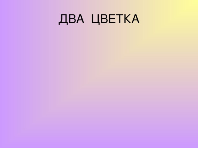 ДВА ЦВЕТКА