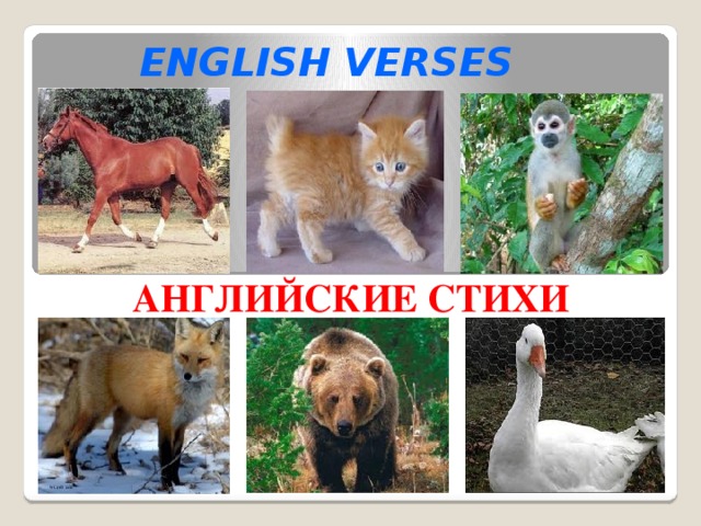 ENGLISH VERSES АНГЛИЙСКИЕ СТИХИ