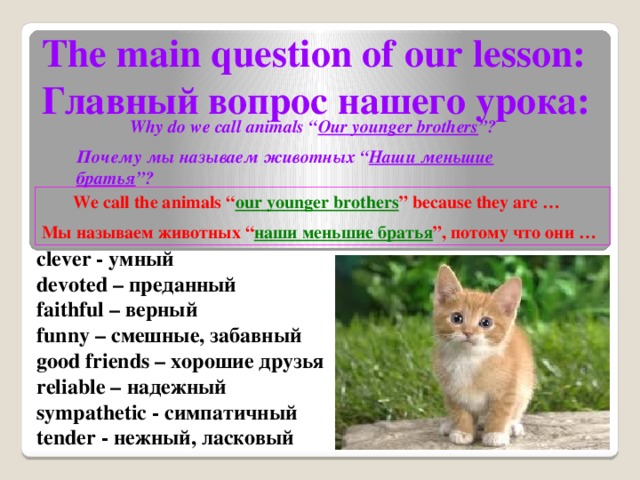 The main question of our lesson: Главный вопрос нашего урока:  Why do we call animals “ Our younger brothers ”? Почему мы называем животных “ Наши меньшие братья ”?  We call the animals “ our younger brothers ” because they are …  Мы называем животных “ наши меньшие братья ”, потому что они … clever - умный devoted – преданный faithful – верный funny – смешные, забавный good friends – хорошие друзья reliable – надежный sympathetic - симпатичный tender - нежный, ласковый