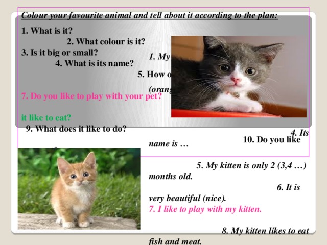 Colour your favourite animal and tell about it according to the plan:  1. What is it? 2. What colour is it? 3. Is it big or small? 4. What is its name? 5. How old is it? 6. Is it nice (beautiful)? 7. Do you like to play with your pet? 8 . What does it like to eat? 9. What does it like to do? 10. Do you like your pet? 1. My favourite animal is a kitten. 2. It is black and white (orange and white). 3. My kitten is small. 4. Its name is … 5. My kitten is only 2 (3,4 …) months old. 6. It is very beautiful (nice). 7. I like to play with my kitten. 8. My kitten likes to eat fish and meat. 9. It likes to sleep and to play. 10. I like my kitten very much.