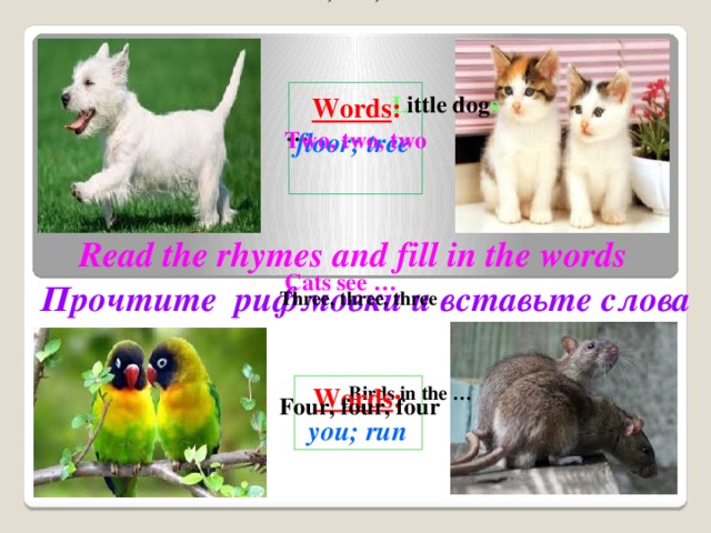One, one, one L ittle dog s …  Words :  floor; tree Two, two, two Cats see … Read the rhymes and fill in the words Прочтите рифмовки и вставьте слова Three, three, three Birds in the …  Words :    you; run Four, four, four Rats on the …