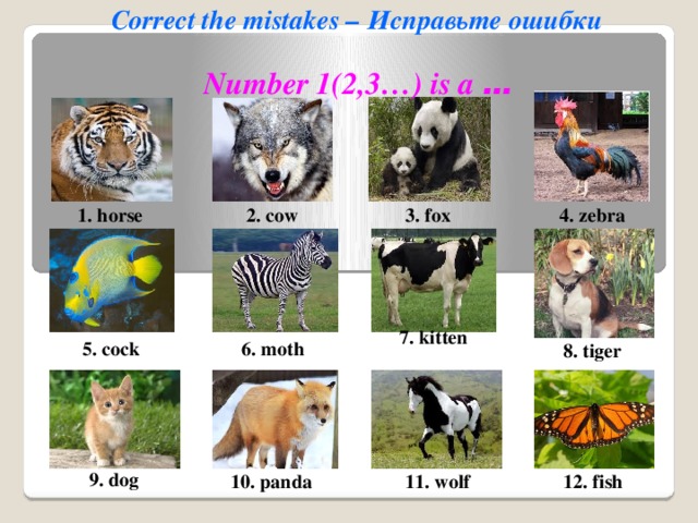 Correct the mistakes – Исправьте ошибки Number 1(2,3…) is a …  2. cow 1. horse 4. zebra 3. fox 7. kitten 6. moth 5. cock 8. tiger 9. dog 10. panda  11. wolf 12. fish