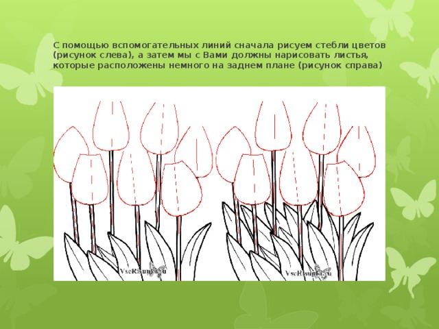 С помощью вспомогательных линий сначала рисуем стебли цветов (рисунок слева), а затем мы с Вами должны нарисовать листья, которые расположены немного на заднем плане (рисунок справа)