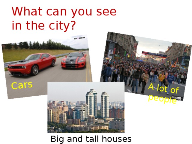 Cars A lot of people What can you see  in the city? Big and tall houses