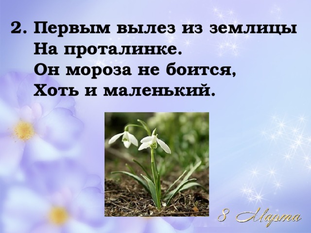 2. Первым вылез из землицы   На проталинке.   Он мороза не боится,   Хоть и маленький.