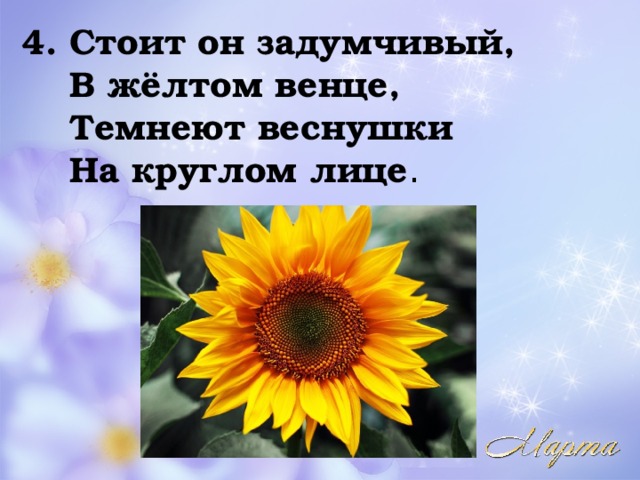 4. Стоит он задумчивый,   В жёлтом венце,   Темнеют веснушки   На круглом лице .