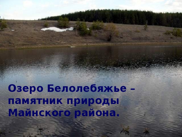 Озеро Белолебяжье – памятник природы Майнского района.