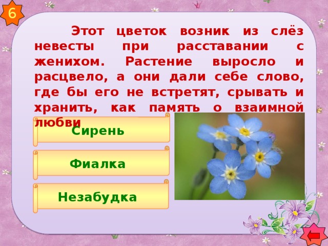 6  Этот цветок возник из слёз невесты при расставании с женихом. Растение выросло и расцвело, а они дали себе слово, где бы его не встретят, срывать и хранить, как память о взаимной любви Сирень Фиалка Незабудка