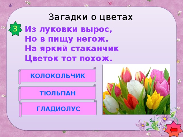 Загадки о цветах 3 Из луковки вырос,  Но в пищу негож.  На яркий стаканчик  Цветок тот похож.    КОЛОКОЛЬЧИК ТЮЛЬПАН ГЛАДИОЛУС