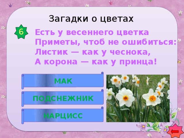 Загадки о цветах 6  Есть у весеннего цветка  Приметы, чтоб не ошибиться:  Листик — как у чеснока,  А корона — как у принца! МАК ПОДСНЕЖНИК НАРЦИСС