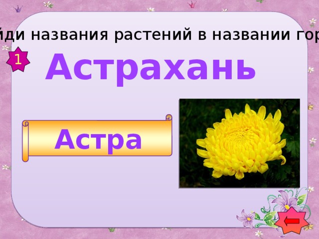 Найди названия растений в названии городов  Астрахань 1 Астра