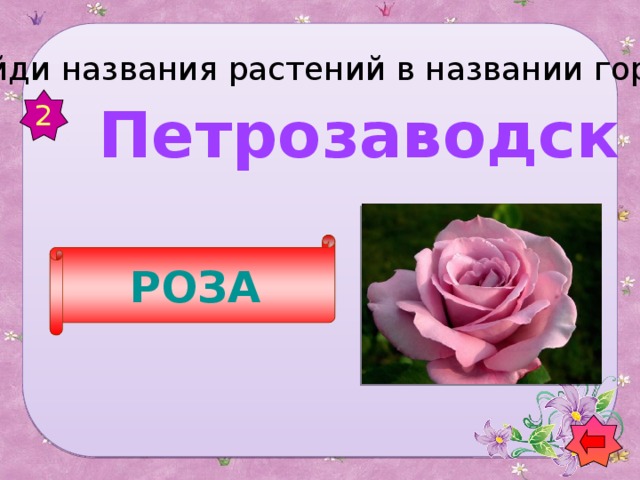 Найди названия растений в названии городов 2   Петрозаводск РОЗА