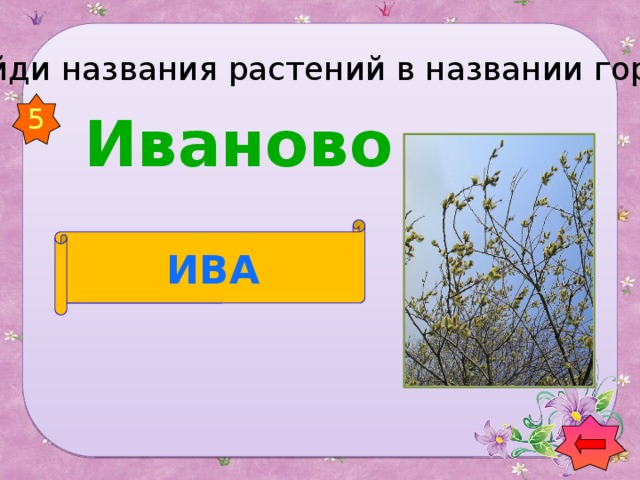 Найди названия растений в названии городов 5  Иваново  ИВА