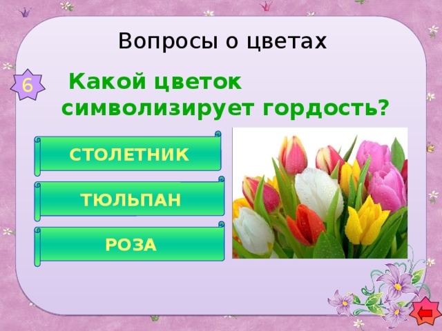 Вопросы о цветах   Какой цветок символизирует гордость? 6 СТОЛЕТНИК ТЮЛЬПАН РОЗА