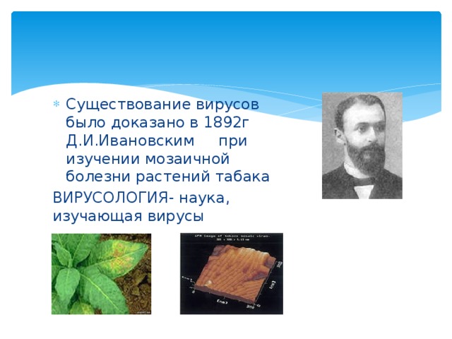 Существование вирусов было доказано в 1892г Д.И.Ивановским при изучении мозаичной болезни растений табака