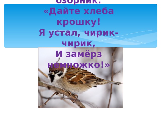 Просит серый озорник:  «Дайте хлеба крошку!  Я устал, чирик-чирик,  И замёрз немножко!»