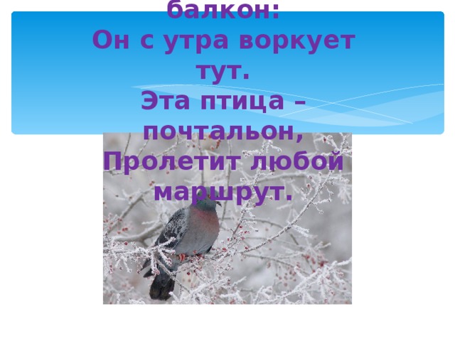 Посмотрите на балкон:  Он с утра воркует тут.  Эта птица – почтальон,  Пролетит любой маршрут.