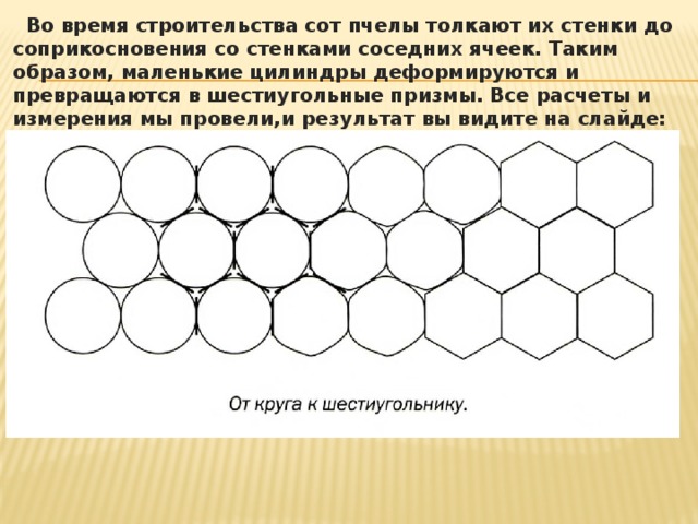 Во время строительства сот пчелы толкают их стенки до соприкосновения со стенками соседних ячеек. Таким образом, маленькие цилиндры деформируются и превращаются в шестиугольные призмы. Все расчеты и измерения мы провели,и результат вы видите на слайде: