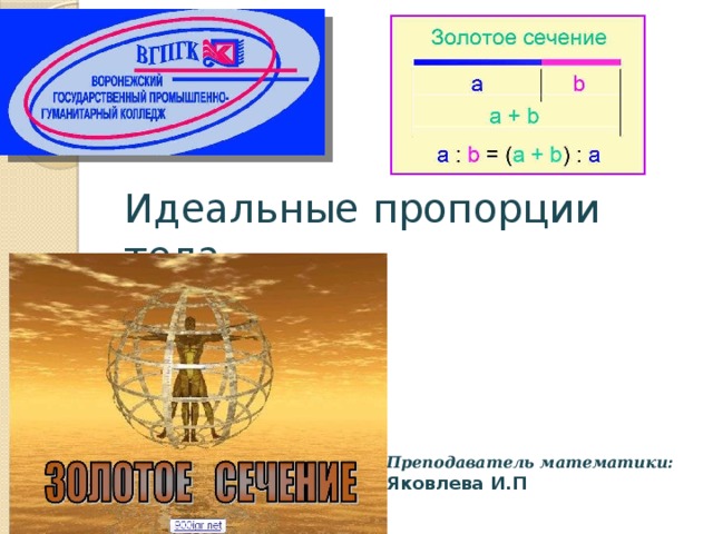 Идеальные пропорции тела Преподаватель математики: Яковлева И.П