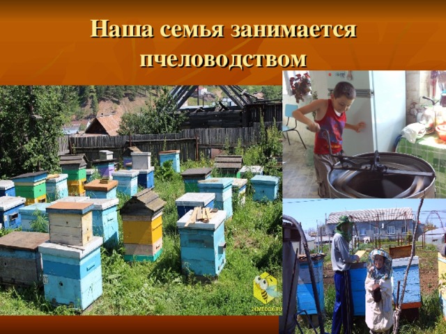 Наша семья занимается пчеловодством