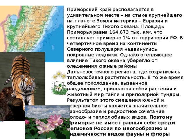 Реферат: Характеристика Приморского края