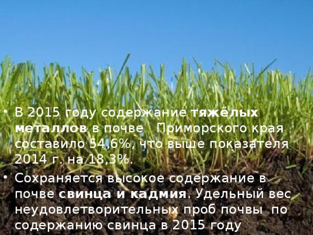В 2015 году содержание тяжёлых металлов в почве Приморского края составило 54,6%, что выше показателя 2014 г. на 18,3%. Сохраняется высокое содержание в почве свинца и кадмия . Удельный вес неудовлетворительных проб почвы по содержанию свинца в 2015 году составило 22,9% (2014 году - 13,4%).