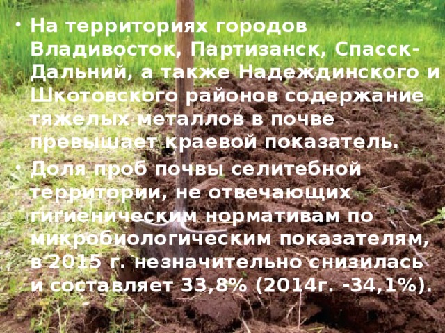 На территориях городов Владивосток, Партизанск, Спасск-Дальний, а также Надеждинского и Шкотовского районов содержание тяжелых металлов в почве превышает краевой показатель. Доля проб почвы селитебной территории, не отвечающих гигиеническим нормативам по микробиологическим показателям, в 2015 г. незначительно снизилась и составляет 33,8% (2014г. -34,1%).