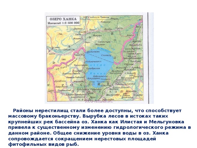 Районы нерестилищ стали более доступны, что способствует массовому браконьерству. Вырубка лесов в истоках таких крупнейших рек бассейна оз. Ханка как Илистая и Мельгуновка привела к существенному изменению гидрологического режима в данном районе. Общее снижение уровня воды в оз. Ханка сопровождается сокращением нерестовых площадей фитофильных видов рыб.