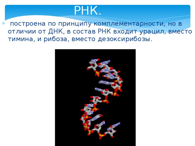 Для рнк характерно. РНК для презентации. Рибонуклеиновая кислота презентация. ДНК И РНК презентация. ДНК биология 9 класс.