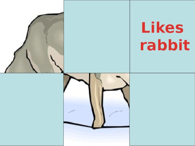 Likes  rabbit