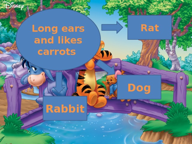 Long ears and likes carrots Rat Dog Rabbit