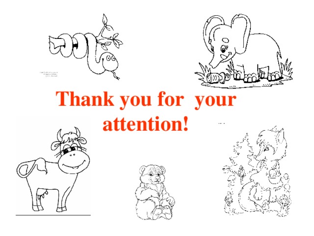 Thank you for your attention!