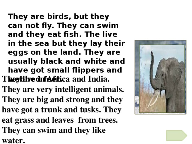 They live in Africa and India. They are very intelligent animals. They are big and strong and they have got a trunk and tusks. They eat grass and leaves from trees. They can swim and they like water. They are birds, but they can not fly. They can swim and they eat fish. The live in the sea but they lay their eggs on the land. They are usually black and white and have got small flippers and webbed feet.