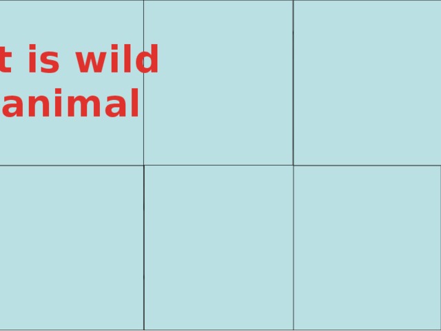 It is wild animal