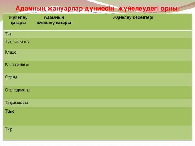 Адамның жануарлар дүниесін жүйелеудегі орны.