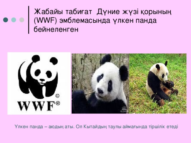 Жабайы табиғат Дүние жүзі қорының ( WWF ) эмблемасында үлкен панда бейнеленген Үлкен панда – аюдың аты. Ол Кытайдың таулы аймағында тіршілік етеді