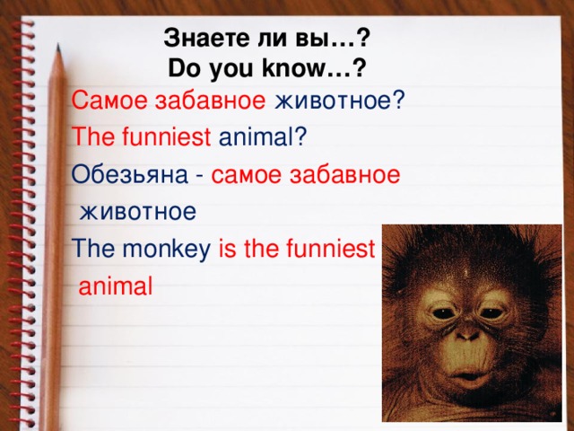 Знаете ли вы…?  Do you know…? Самое забавное животное? The funniest animal? Обезьяна -  самое забавное  животное  The monkey is the funniest  animal