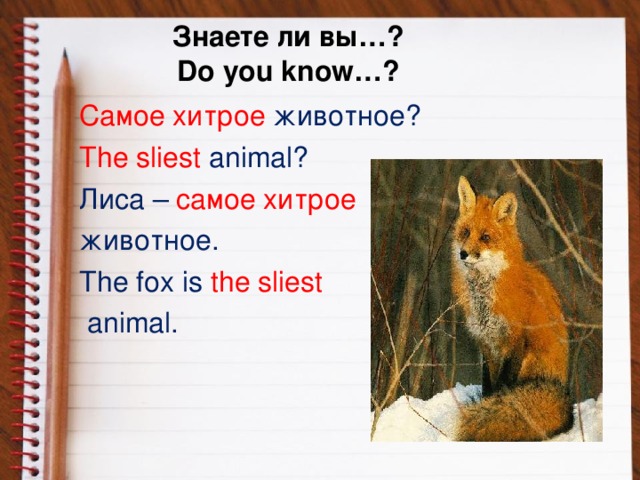 Знаете ли вы…?  Do you know…? Самое хитрое животное? The sliest animal? Лиса –  самое хитрое  животное. The fox is the sliest  animal.
