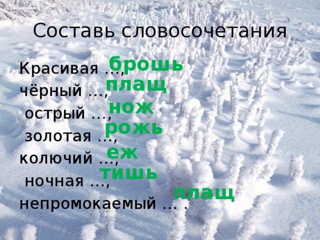 Составь словосочетания брошь Красивая …, чёрный …,  острый …,  золотая …, колючий …,  ночная …, непромокаемый … . плащ нож рожь еж тишь плащ