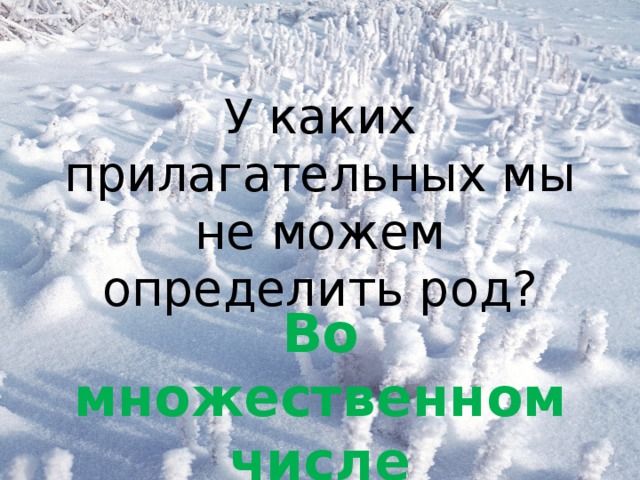 У каких прилагательных мы не можем определить род? Во множественном числе