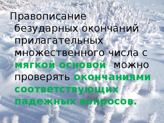 Правописание безударных окончаний прилагательных множественного числа с мягкой основой можно проверять окончаниями соответствующих падежных вопросов.