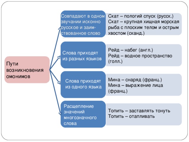 Совпадают в одном звучании исконно русское и заимствованное слово Скат – пологий спуск (русск.) Скат – крупная хищная морская рыба с плоским телом и острым хвостом (сканд.) Совпадают в одном звучании исконно русское и заим- ствованное слово Рейд – набег (англ.) Рейд – водное пространство (голл.) Слова приходят из разных языков Пути возникновения омонимов Мина – снаряд (франц.) Мина – выражение лица (франц.) Слова приходят из одного языка Пути возникновения омонимов Расщепление значений многозначного слова Топить – заставлять тонуть Топить – отапливать