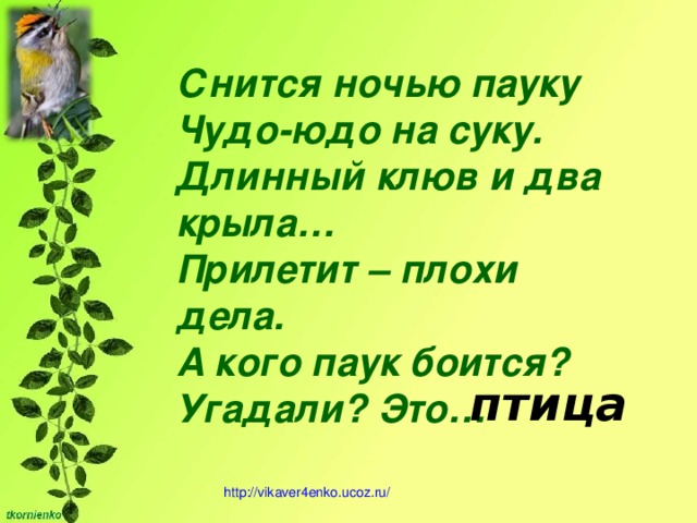 Снится ночью пауку Чудо-юдо на суку. Длинный клюв и два крыла… Прилетит – плохи дела. А кого паук боится? Угадали? Это… птица http ://vikaver4enko.ucoz.ru/