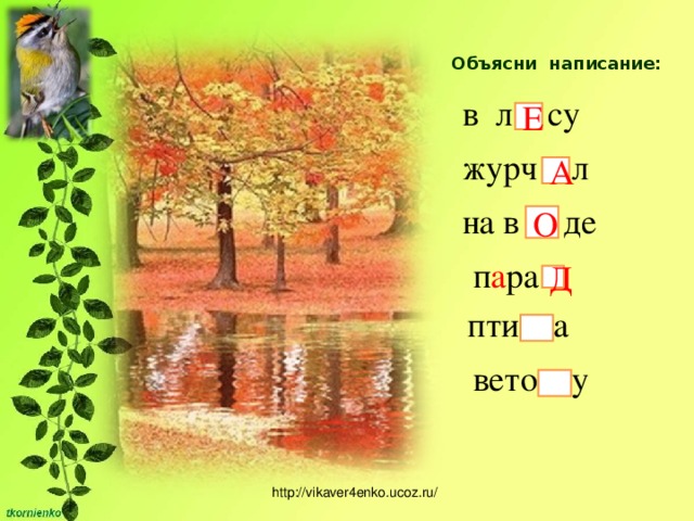 Писать о лесах любимое. Леса орфография. Изложение путешественница 3 класс. Написано в лесу журч л на какую букву вставить. 3 Класс 3 класс изложение путешественница.