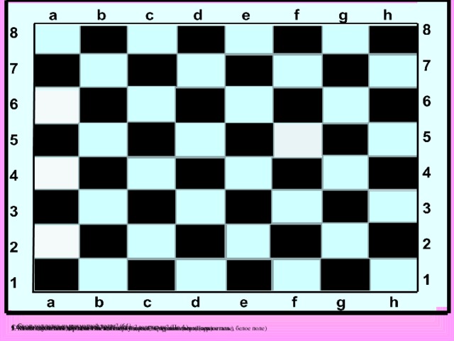 Сколько клеток на шахматной доске? (64)  4.Сколько белых полей в каждой горизонтали? вертикали? (По 4.) Сколько шахматных фигур всего? (32)  1. Какая шахматная дорожка тянется слева направо? Справа на лево(Горизонталь.) 2. Какая шахматная дорожка тянется сверху вниз. Сверху вниз (вертикаль) 3. Что следует за белым полем на шахматной доске, за черным полем (черное поле, белое поле)