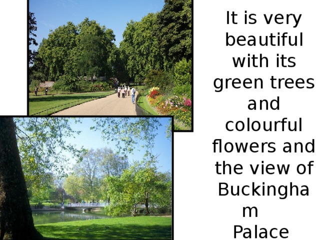 It is very beautiful with its green trees and colourful flowers and the view of Buckingham Palace