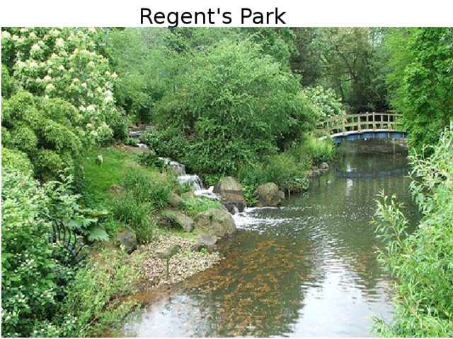 Regent's Park