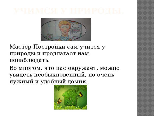 Учимся у природы. Мастер Постройки сам учится у природы и предлагает нам понаблюдать. Во многом, что нас окружает, можно увидеть необыкновенный, но очень нужный и удобный домик.