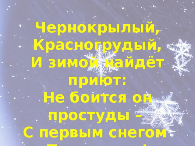 Чернокрылый, Красногрудый, И зимой найдёт приют: Не боится он простуды – С первым снегом Тут как тут!